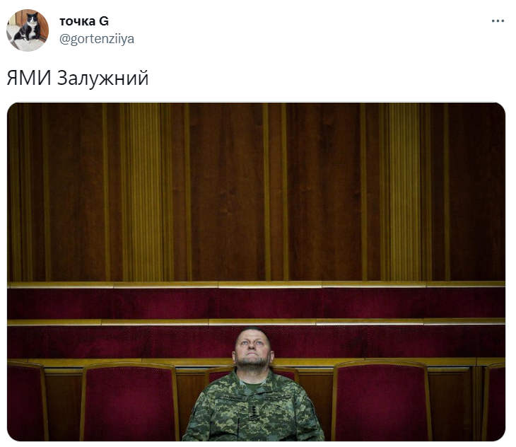 Фото Валерія Залужного у Верховній Раді стало мемом - 552136 Фото Валерія Залужного у Верховній Раді стало мемом - фото 552136