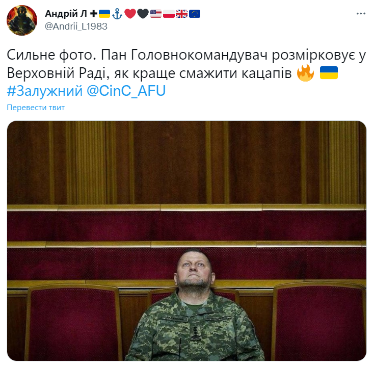 Фото Валерія Залужного у Верховній Раді стало мемом - 552137 Фото Валерія Залужного у Верховній Раді стало мемом - фото 552137