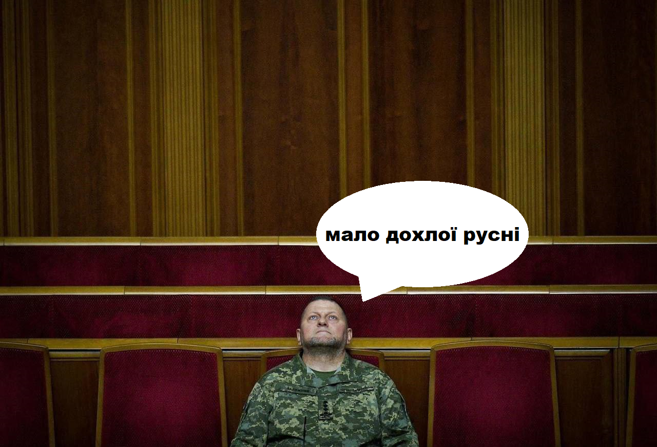 Фото Валерія Залужного у Верховній Раді стало мемом - 552140 Фото Валерія Залужного у Верховній Раді стало мемом - фото 552140