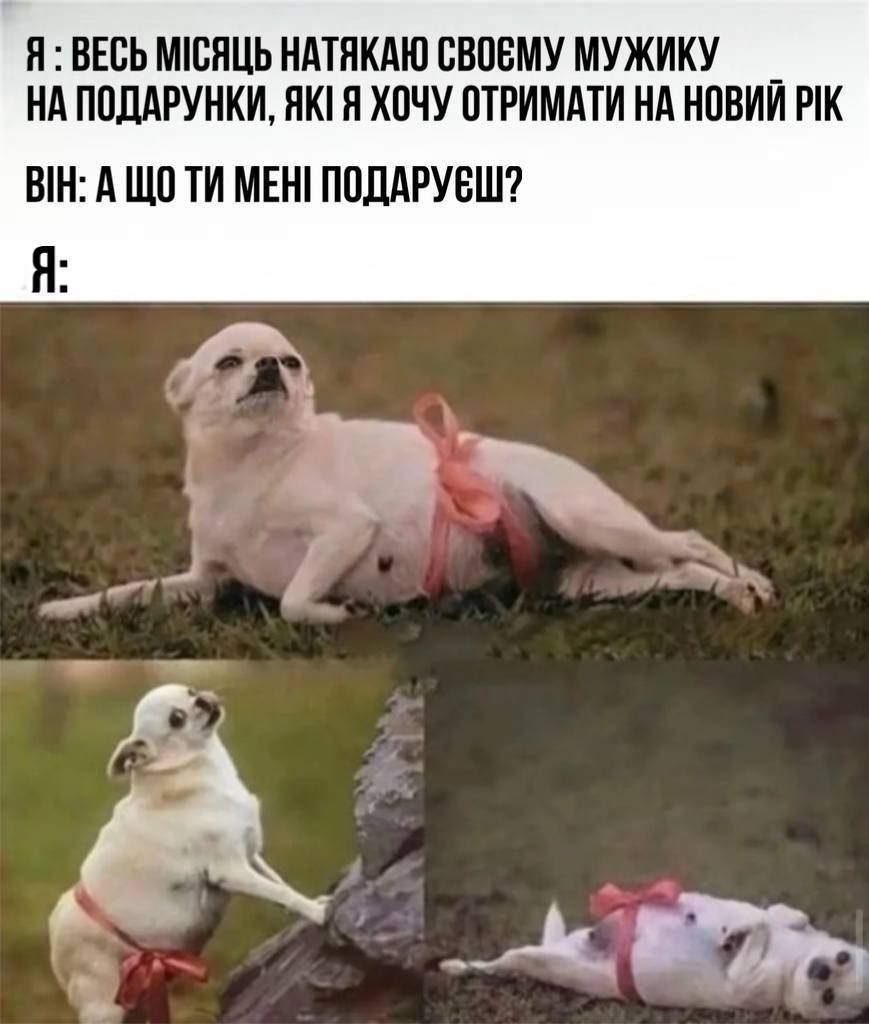 Мемы о Новом году, которые поднимут со дна твое праздничное настроение - фото 552161