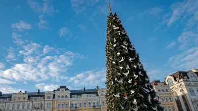 Скромная, но прекрасная: новогодняя елка в Киеве попала в 5 самых красивых в мире