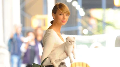 Кішку Тейлор Свіфт оцінили майже в 100 мільйонів доларів