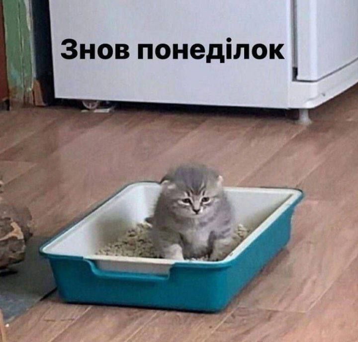 Меми про понеділок, які ідеально описують наш емоційний стан - 552900 Меми про понеділок, які ідеально описують наш емоційний стан - фото 552900