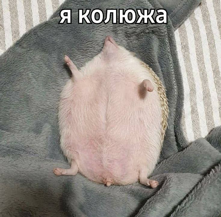 Меми про понеділок, які ідеально описують наш емоційний стан - 552901 Меми про понеділок, які ідеально описують наш емоційний стан - фото 552901
