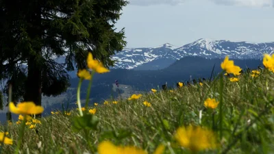 Какой будет весна 2023 года в Украине – прогноз на каждый месяц