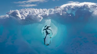 Смотрите фантастически красивые фото победителей конкурса Travel Photographer of the Year