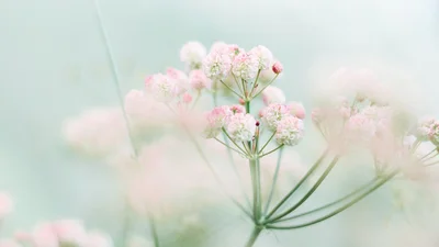 Будет ли ранняя весна в Украине – вот прогноз Укргидрометцентра