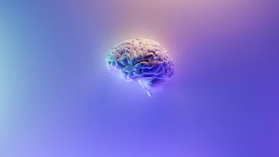 Привычки, которые вредят работе твоего мозга