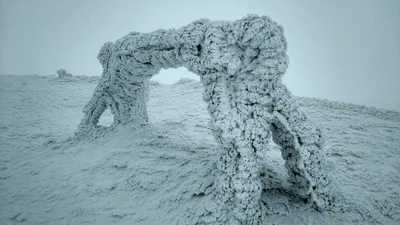 Словно из сказки: снег и мороз превратили в ледяную скульптуру качели в Карпатах - фото 554405