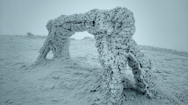 Наче з казки: сніг та мороз перетворили в крижану скульптуру гойдалку у Карпатах - фото 554405