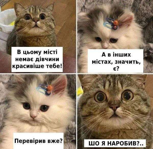 Потішні меми про 8 березня - 554474 Потішні меми про 8 березня - фото 554474