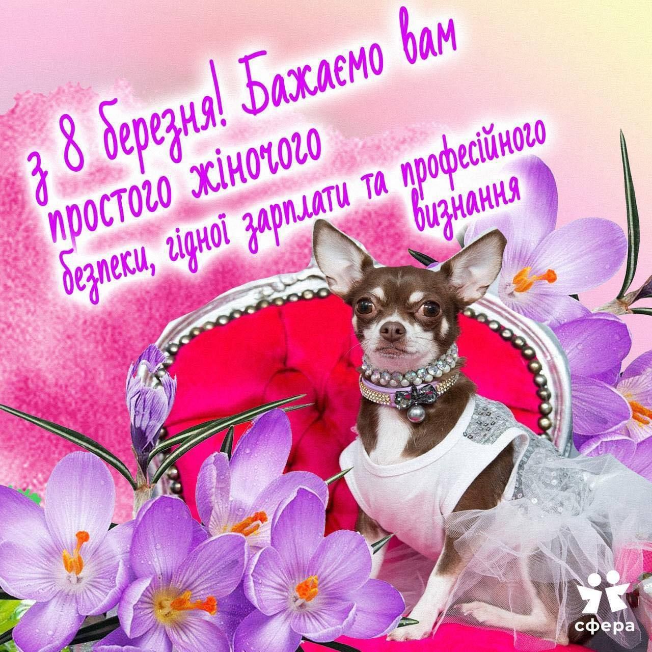 Потішні меми про 8 березня - 554475 Потішні меми про 8 березня - фото 554475