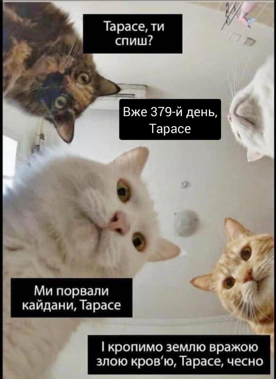Мережу заполонили меми і патріотичні арти з Тарасом Шевченком - 554584 Мережу заполонили меми і патріотичні арти з Тарасом Шевченком - фото 554584