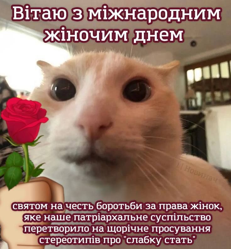 Потішні меми про 8 березня - 554629 Потішні меми про 8 березня - фото 554629