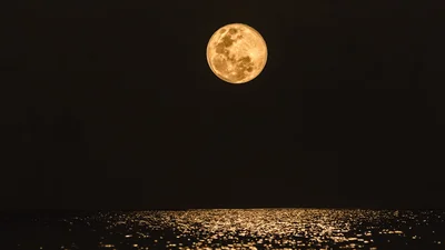 Гороскоп-тренд: в TikTok показали, как определить родство душ по фазам Луны