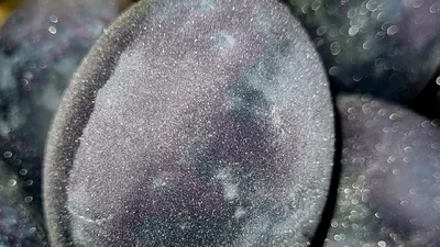 Мерцающие писанки в вине – тренд с TikTok, который ты захочешь повторить