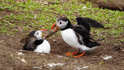 Вот как научиться договариваться, когда конфликт неизбежен