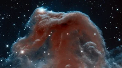 Звездный пингвин: NASA поделилось впечатляющим кадром