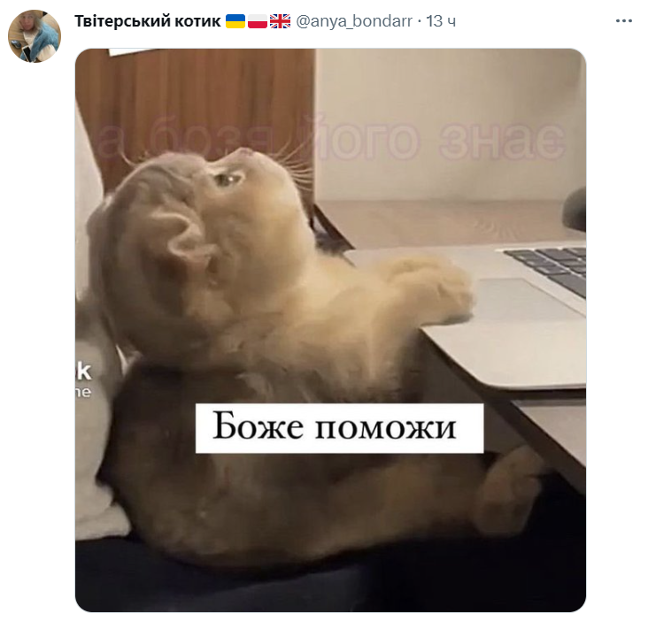 Настя Каменських втрапила у скандал через гроші на ЗСУ - 557599 Настя Каменських втрапила у скандал через гроші на ЗСУ - фото 557599