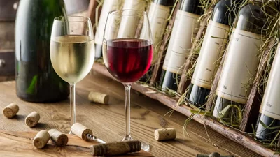 Зірки допоможуть: яке вино підходить різним знакам Зодіаку