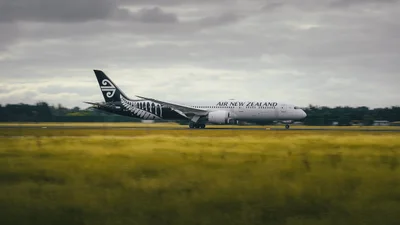 В Новой Зеландии людей будут взвешивать перед полетами