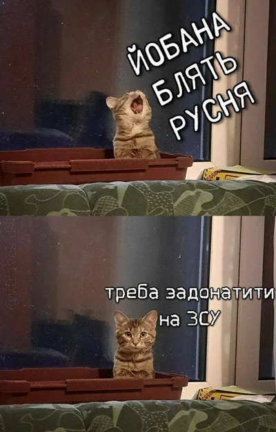 Несокрушимые украинцы делают смешные мемы о недосыпании из-за ежедневных обстрелов - фото 558955