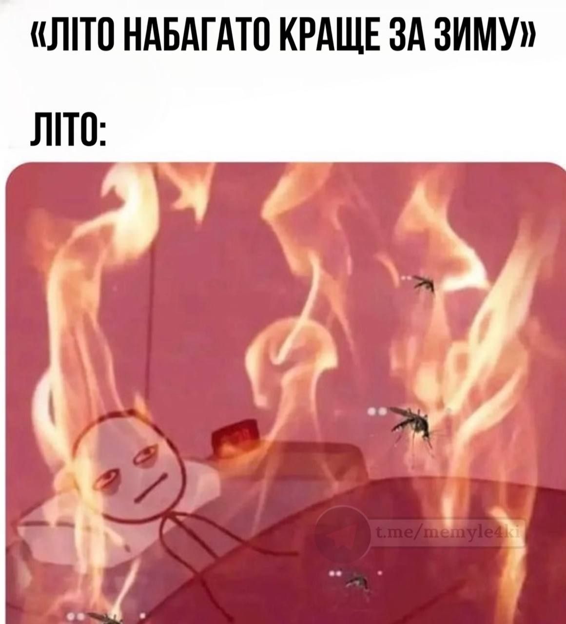 Жаркие мемы о клубнике и лете, в которых ты узнаешь себя - 559019 Жаркие мемы о клубнике и лете, в которых ты узнаешь себя - фото 559019