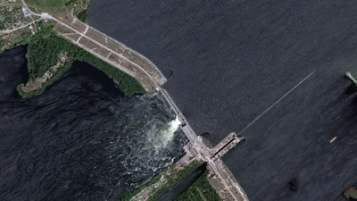 Как из воды спасают животных после подрыва Каховской ГЭС: щемящие фото и видео