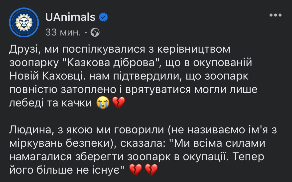 Як із води рятують тварин після підриву Каховської ГЕС: зворушливі фото та відео - фото 559212