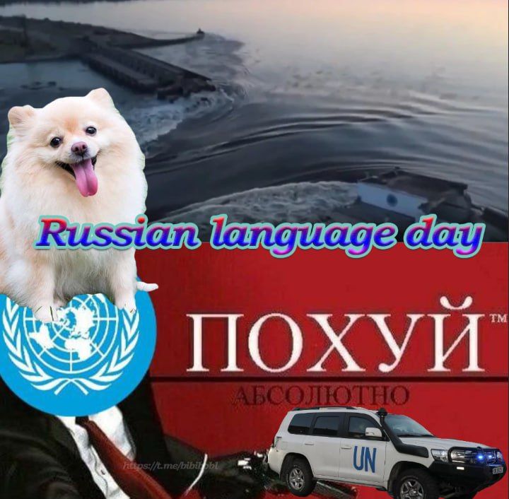 Юзери продовжують робити меми про 'занепокоєну' ООН - 559322 Юзери продовжують робити меми про 'занепокоєну' ООН - фото 559322