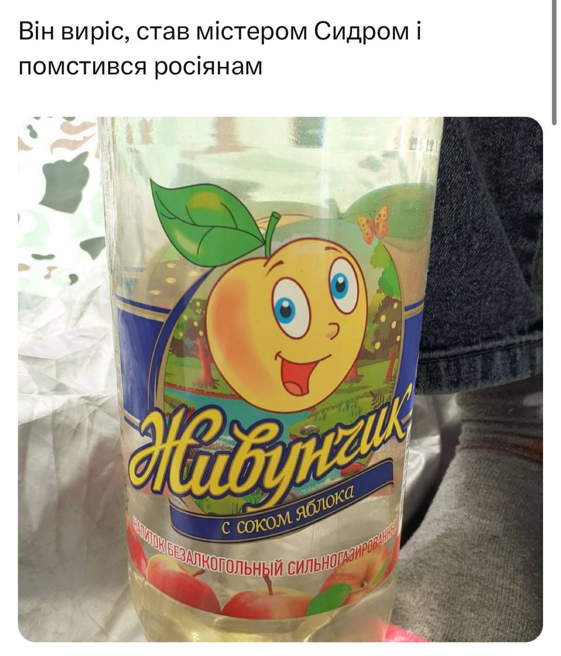 Піднімаємо настрій мемами про 'Мистер Сидр', яким отруїлися росіяни - 559488 Піднімаємо настрій мемами про 'Мистер Сидр', яким отруїлися росіяни - фото 559488