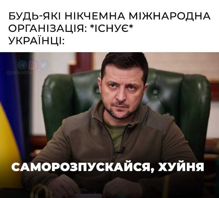 Юзеры продолжают делать мемы об 'обеспокоенной' ООН - 559519 Юзеры продолжают делать мемы об 'обеспокоенной' ООН - фото 559519