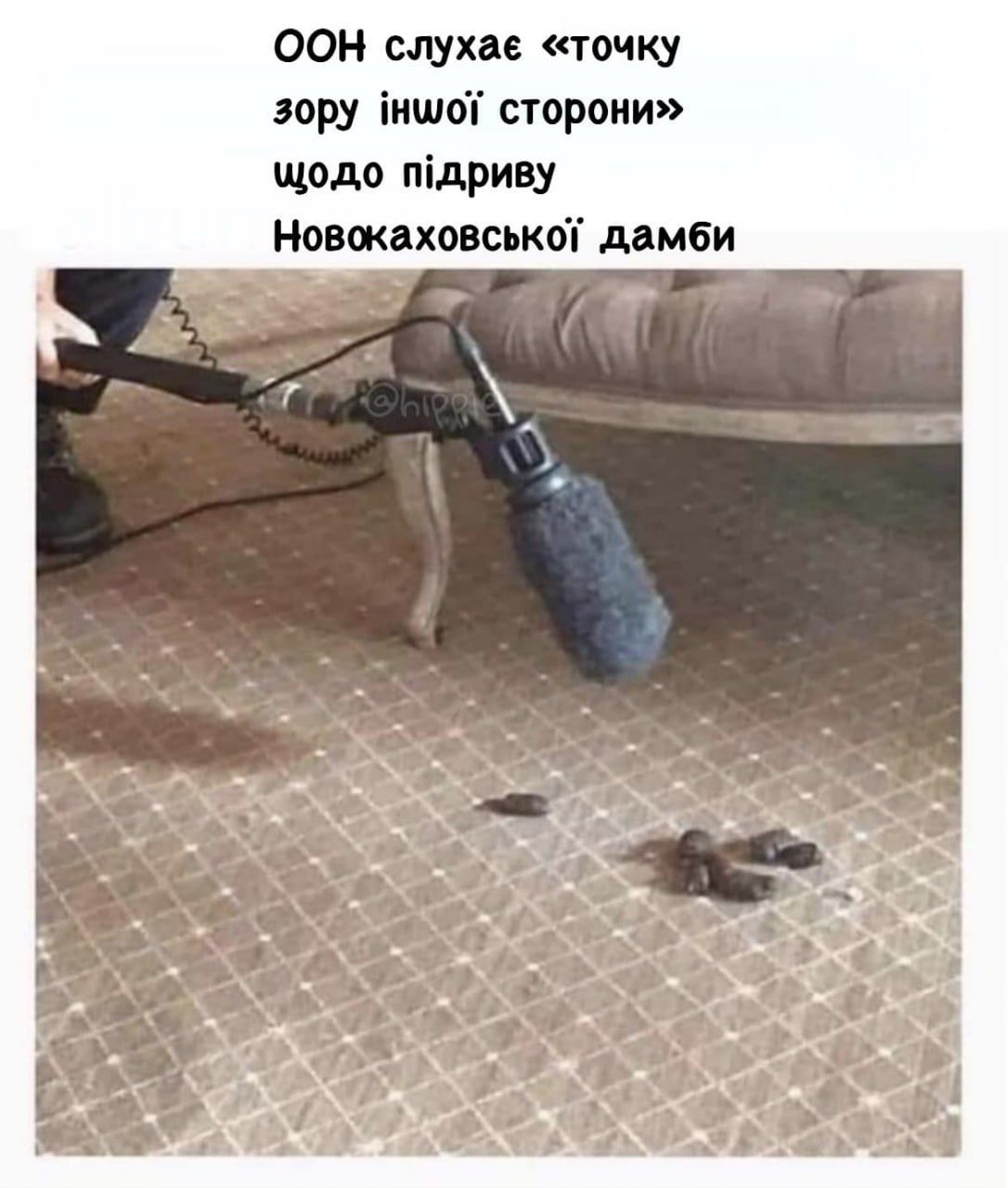 Юзеры продолжают делать мемы об 'обеспокоенной' ООН - 559525 Юзеры продолжают делать мемы об 'обеспокоенной' ООН - фото 559525