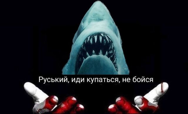 Мережа вибухнула мемами про 'теплу' зустріч акули та росіянина у Хургаді - фото 559635