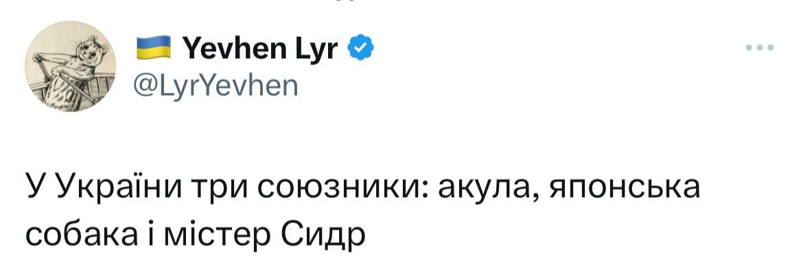 Мережа вибухнула мемами про 'теплу' зустріч акули та росіянина у Хургаді - 559643 Мережа вибухнула мемами про 'теплу' зустріч акули та росіянина у Хургаді - фото 559643