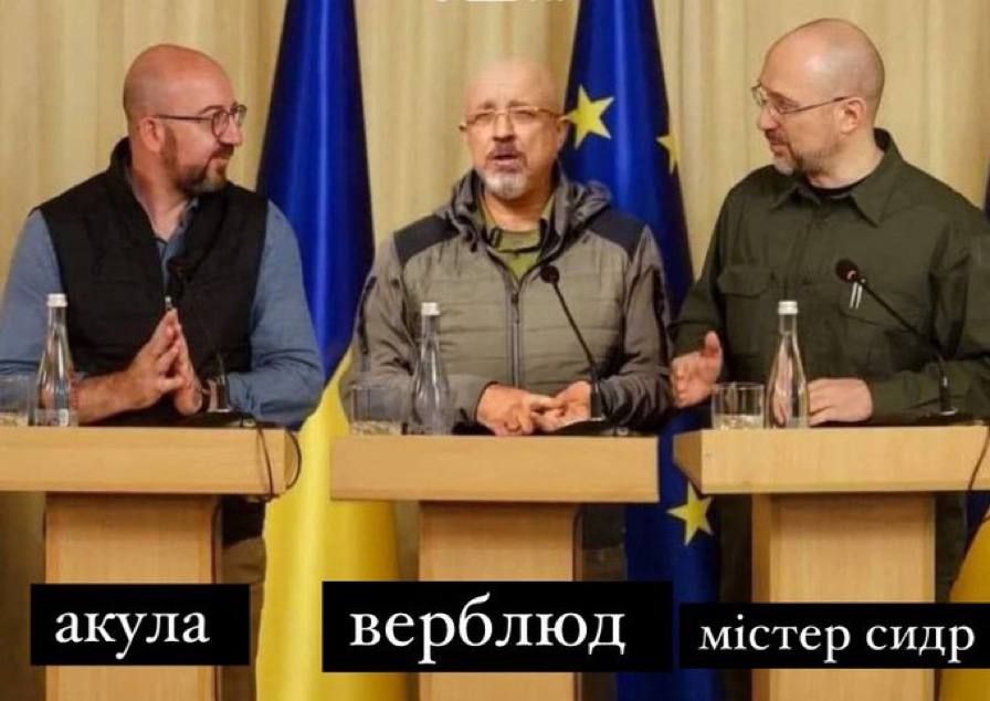 Мережа вибухнула мемами про 'теплу' зустріч акули та росіянина у Хургаді - 559644 Мережа вибухнула мемами про 'теплу' зустріч акули та росіянина у Хургаді - фото 559644