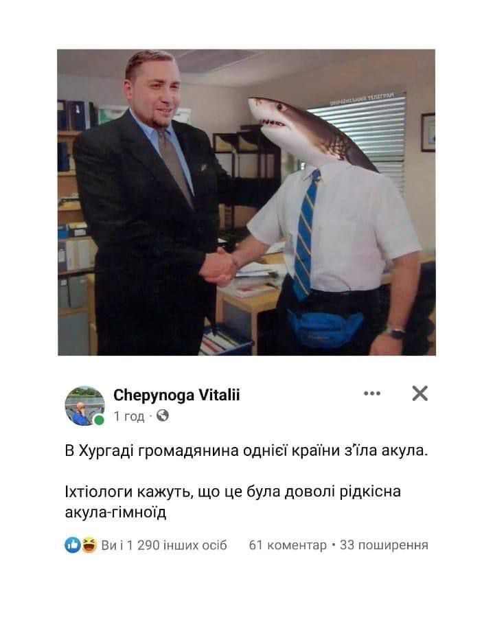 Мережа вибухнула мемами про 'теплу' зустріч акули та росіянина у Хургаді - 559645 Мережа вибухнула мемами про 'теплу' зустріч акули та росіянина у Хургаді - фото 559645