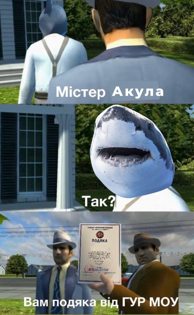 Мережа вибухнула мемами про 'теплу' зустріч акули та росіянина у Хургаді - 559651 Мережа вибухнула мемами про 'теплу' зустріч акули та росіянина у Хургаді - фото 559651