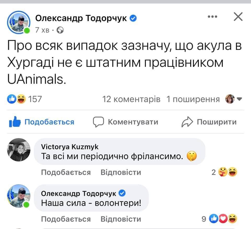 Мережа вибухнула мемами про 'теплу' зустріч акули та росіянина у Хургаді - 559653 Мережа вибухнула мемами про 'теплу' зустріч акули та росіянина у Хургаді - фото 559653