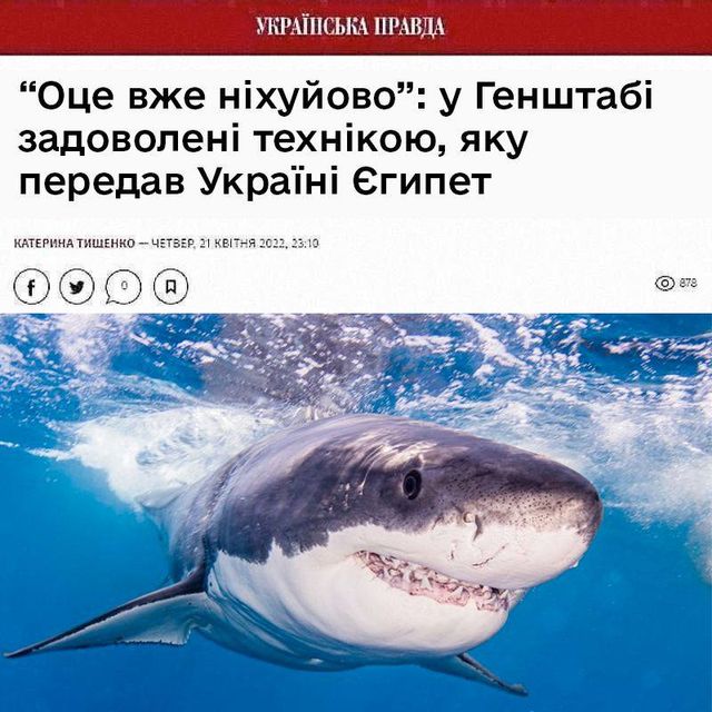 Мережа вибухнула мемами про 'теплу' зустріч акули та росіянина у Хургаді - фото 559654