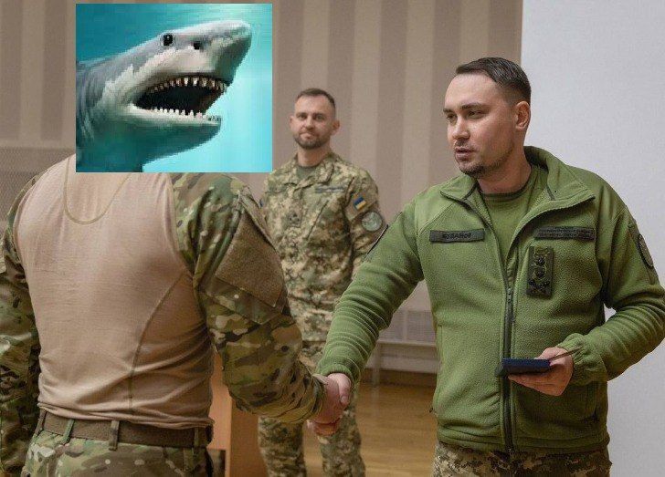 Мережа вибухнула мемами про 'теплу' зустріч акули та росіянина у Хургаді - 559655 Мережа вибухнула мемами про 'теплу' зустріч акули та росіянина у Хургаді - фото 559655