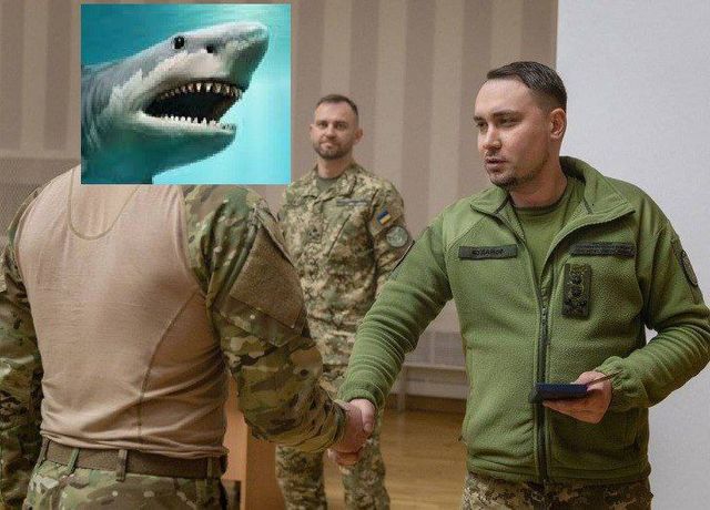 Сеть взорвалась мемами о 'теплой' встрече акулы и россиянина в Хургаде - фото 559655