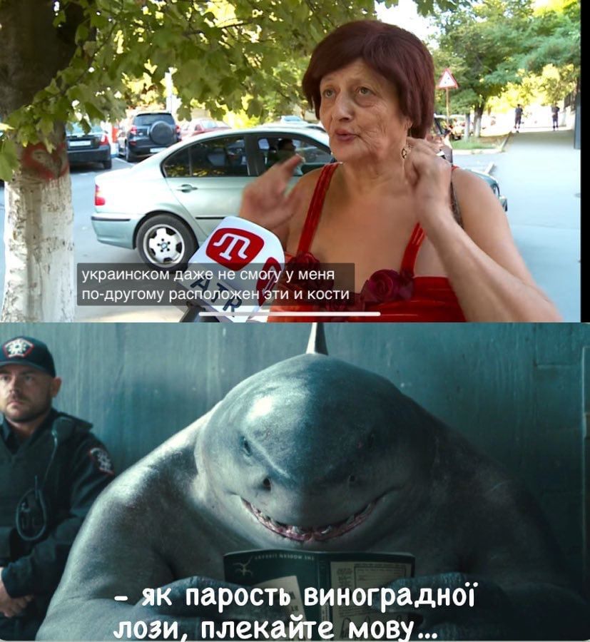 Мережа вибухнула мемами про 'теплу' зустріч акули та росіянина у Хургаді - 559656 Мережа вибухнула мемами про 'теплу' зустріч акули та росіянина у Хургаді - фото 559656
