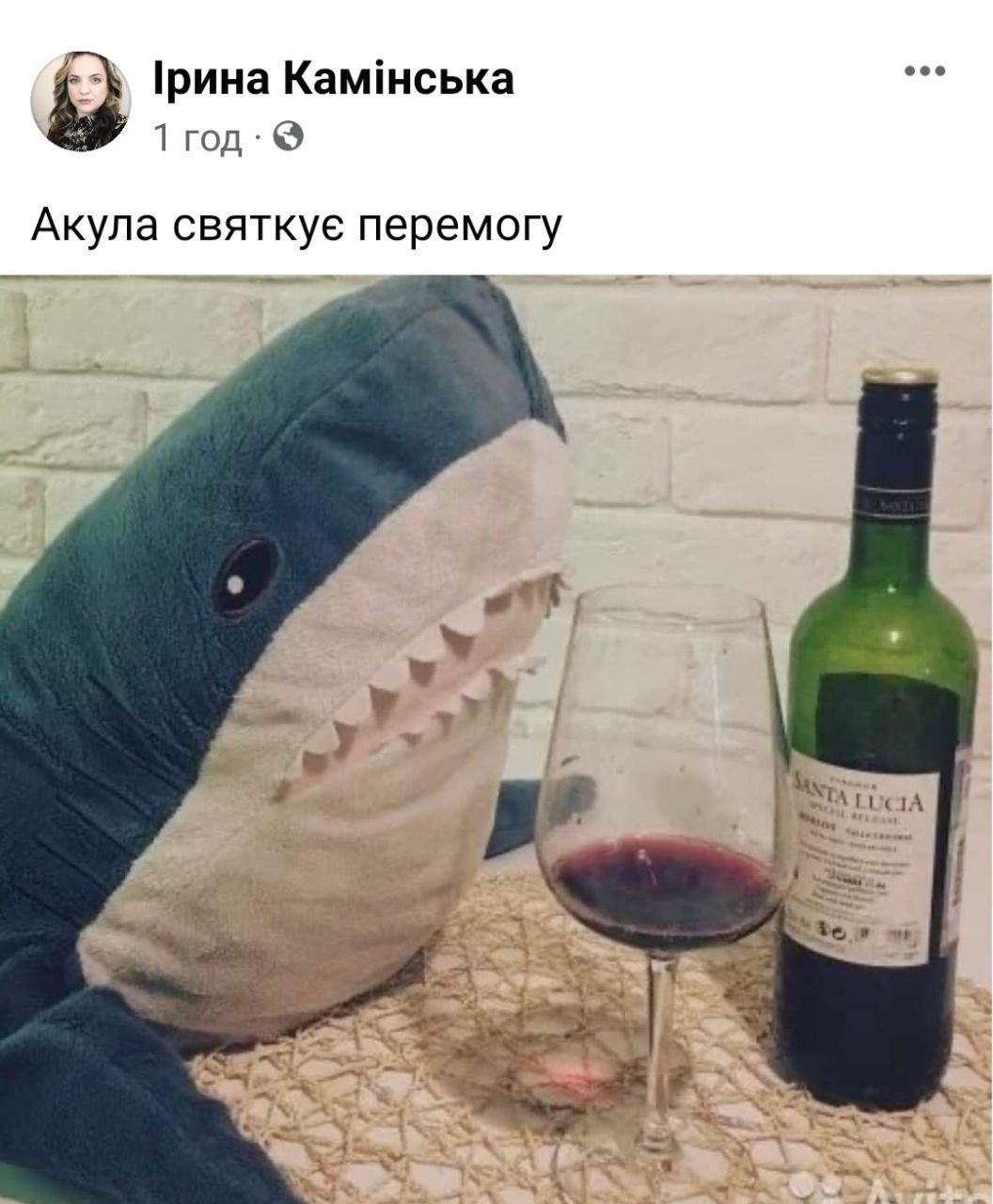 Мережа вибухнула мемами про 'теплу' зустріч акули та росіянина у Хургаді - 559661 Мережа вибухнула мемами про 'теплу' зустріч акули та росіянина у Хургаді - фото 559661