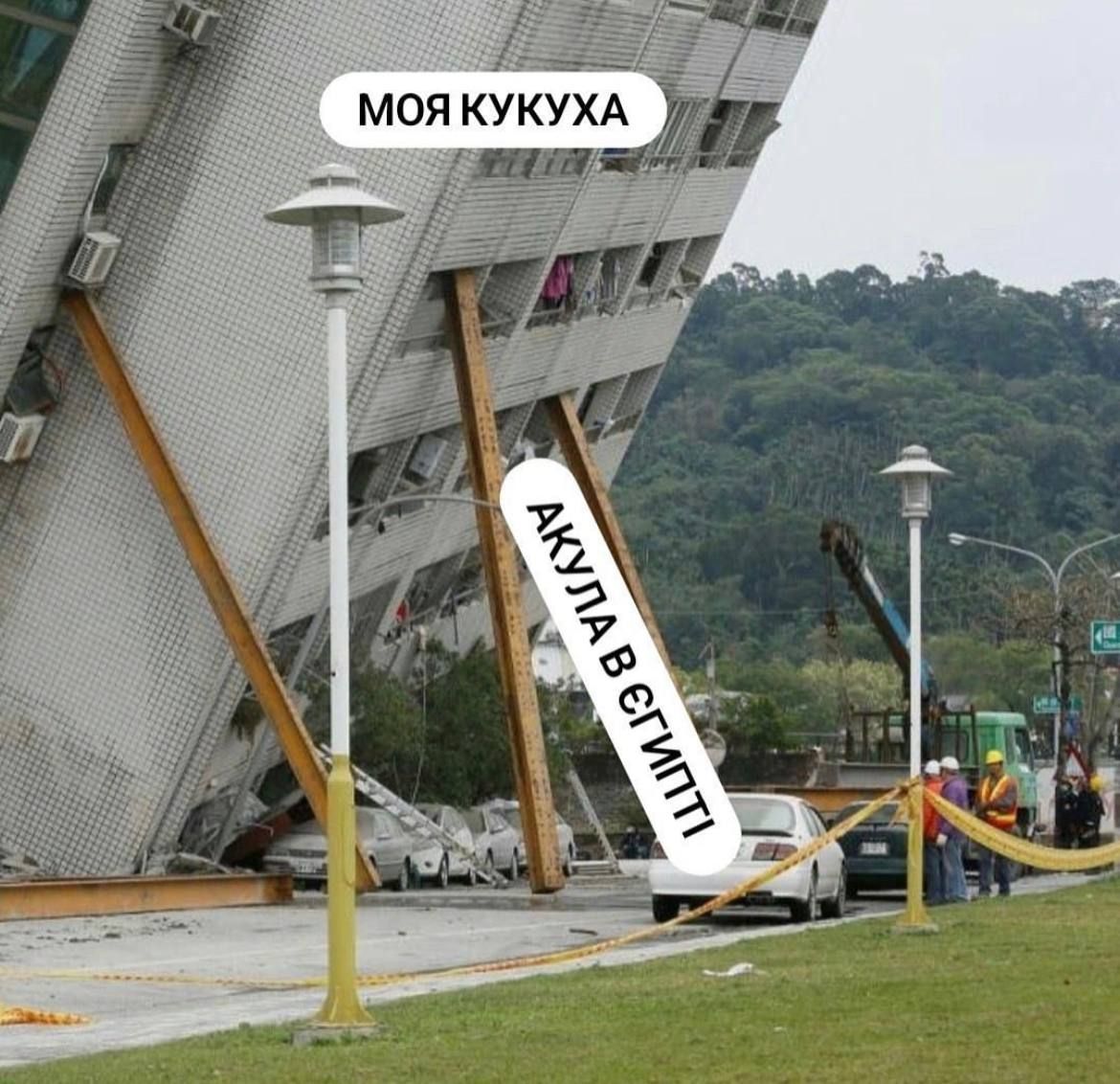 Мережа вибухнула мемами про 'теплу' зустріч акули та росіянина у Хургаді - 559662 Мережа вибухнула мемами про 'теплу' зустріч акули та росіянина у Хургаді - фото 559662