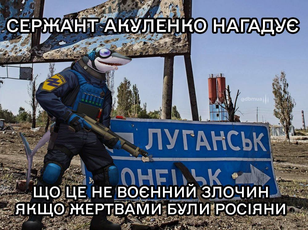 Мережа вибухнула мемами про 'теплу' зустріч акули та росіянина у Хургаді - 559666 Мережа вибухнула мемами про 'теплу' зустріч акули та росіянина у Хургаді - фото 559666