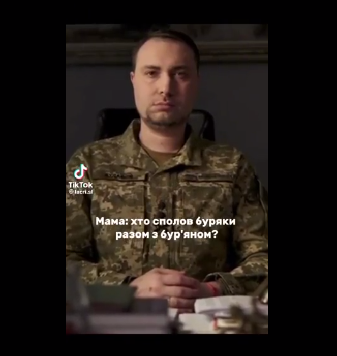 Видео с молчаливым Кириллом Будановым вдохновило юзеров на создание мемов - фото 559983
