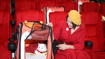 У Таїланді відкрили кінотеатр, куди можна прийти з домашнім улюбленцем