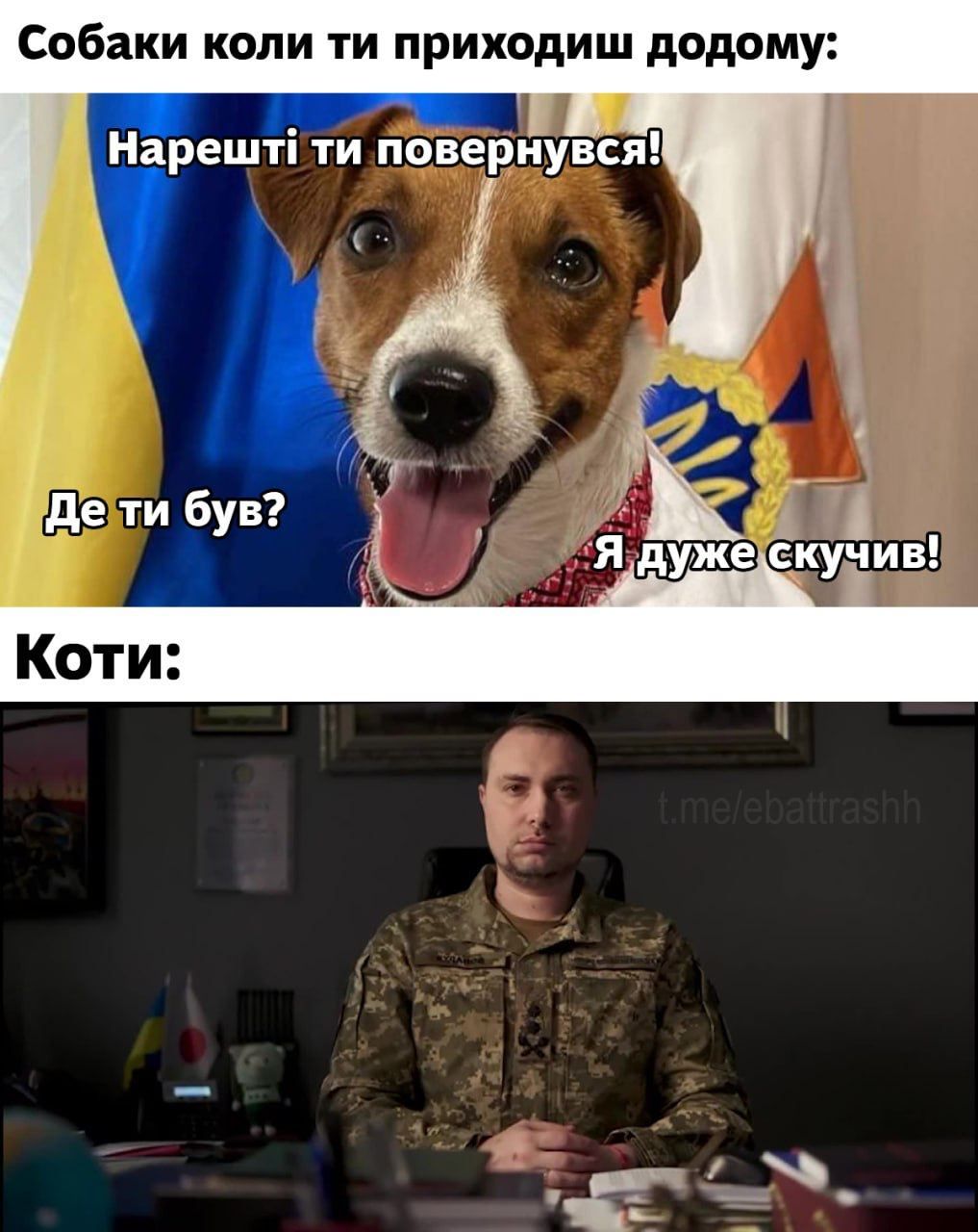 Відео з мовчазним Кирилом Будановим надихнуло юзерів на створення мемів - фото 560075