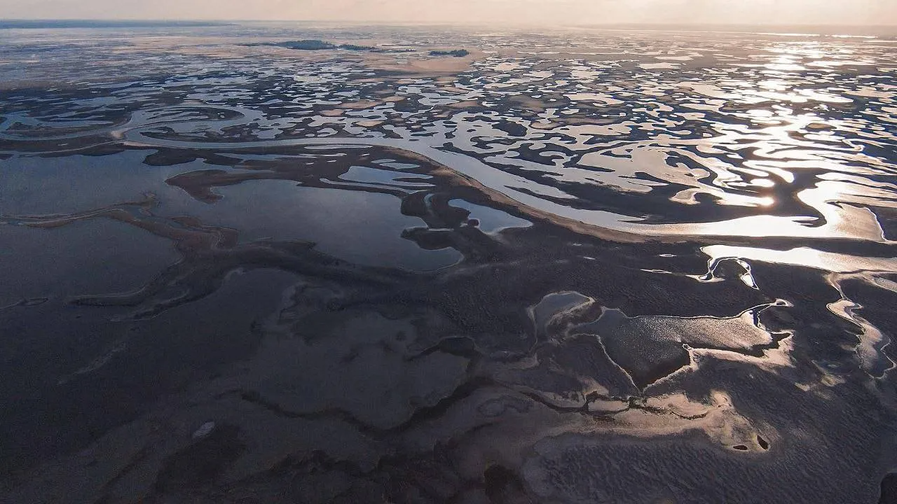 Невпізнавані пейзажі: ось яке зараз Каховське водосховище - фото 560725